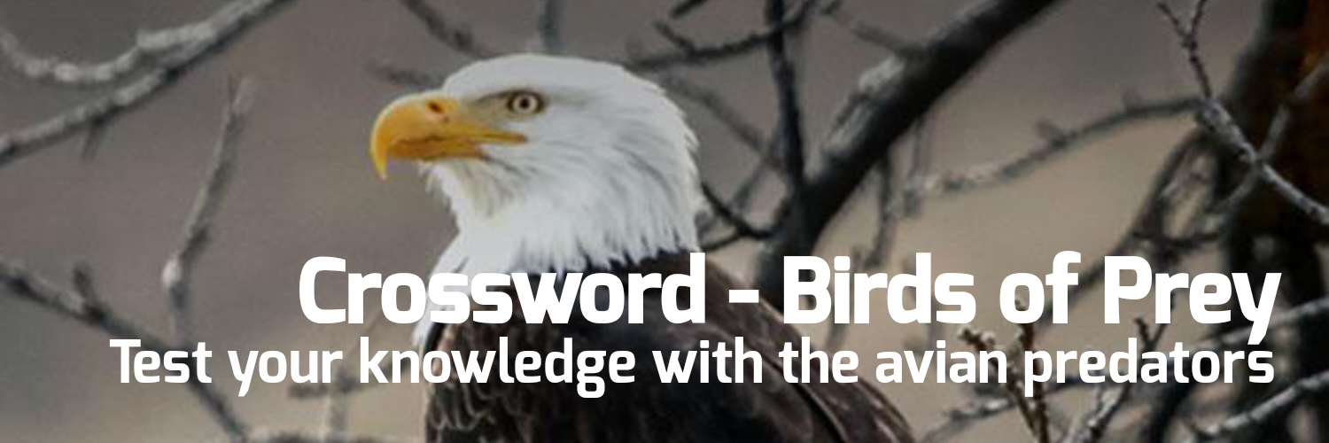 Crosswords : Birds of Prey